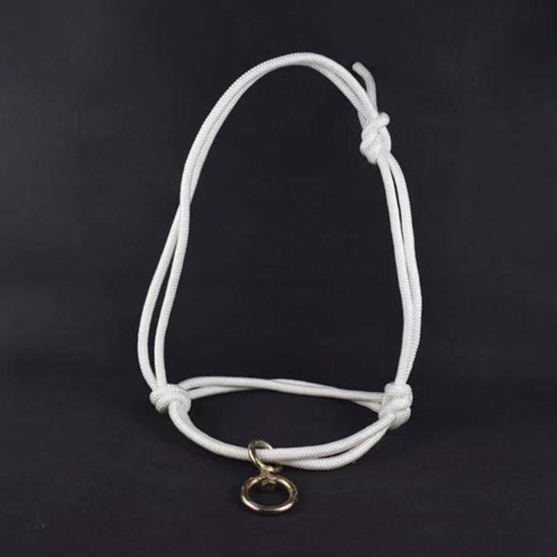 8mm thick transport ring